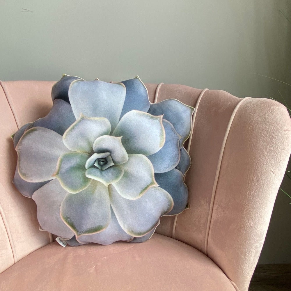 succulent pillow