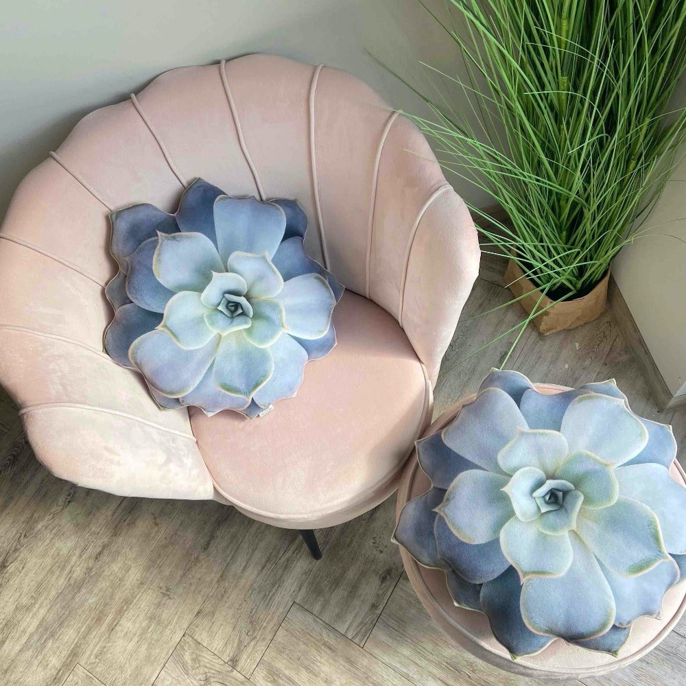Succulent echeveria pillow
