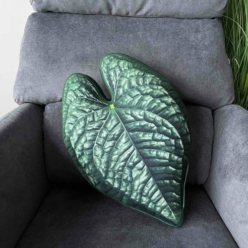 Anthurium Luxurians leaf