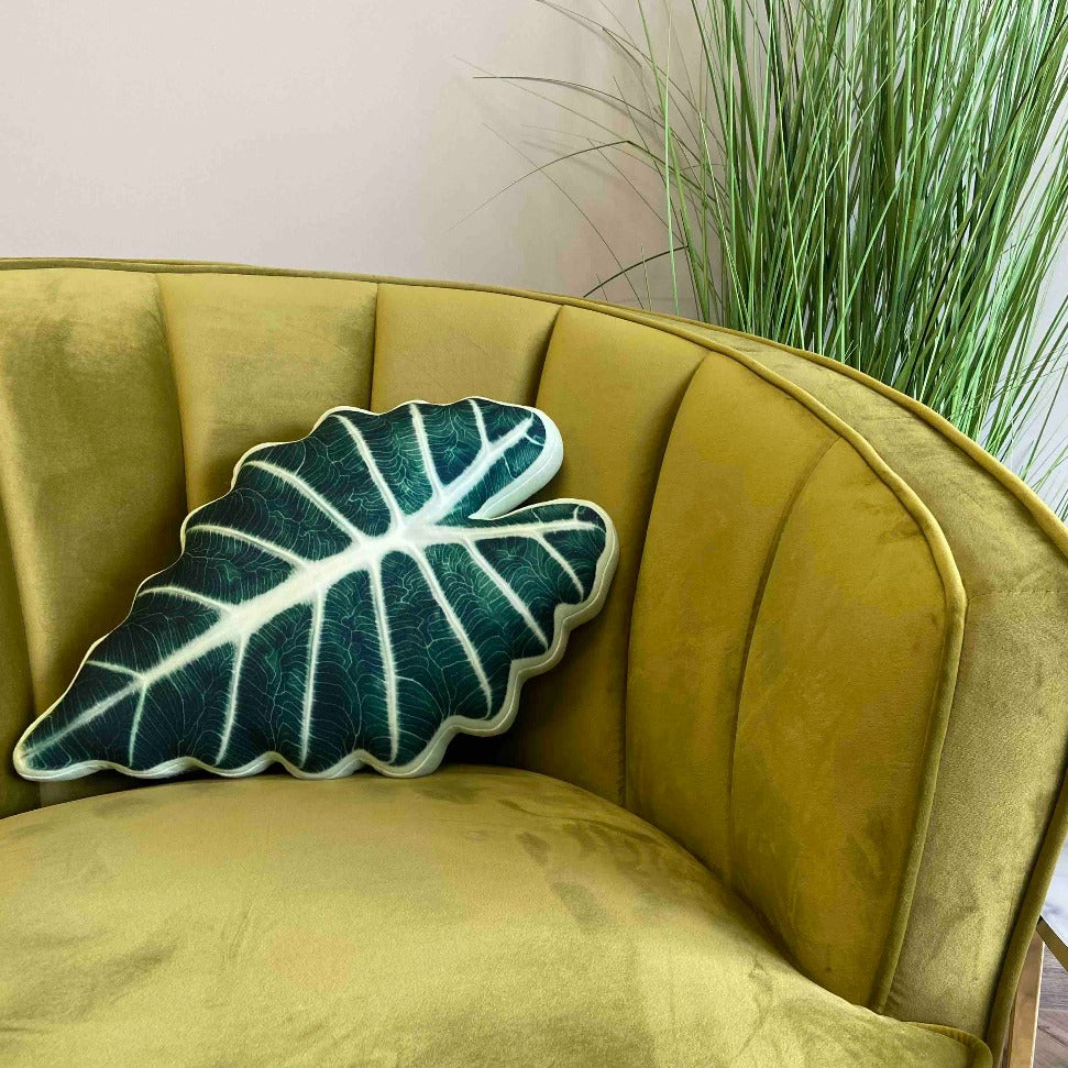 alocasia polly pillow