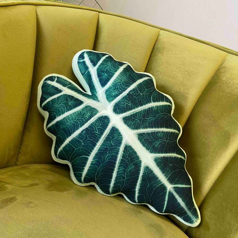 alocasia polly pillow