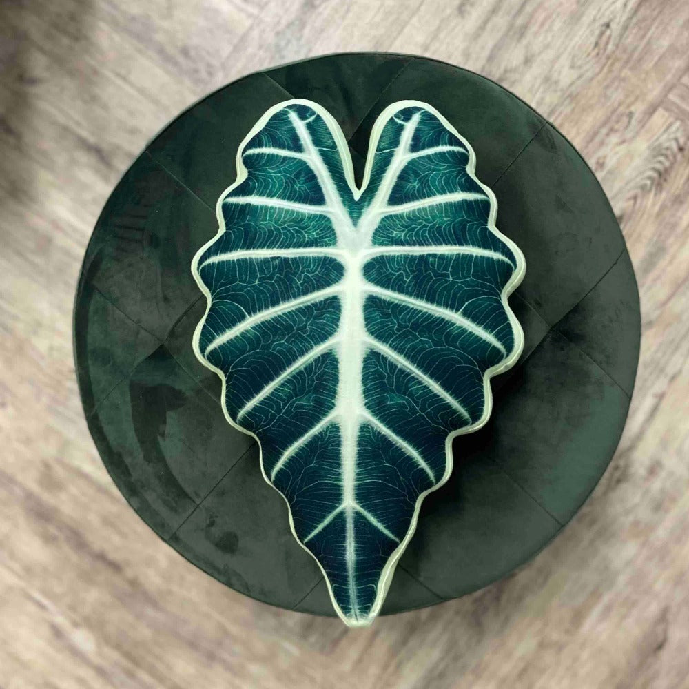 alocasia polly pillow