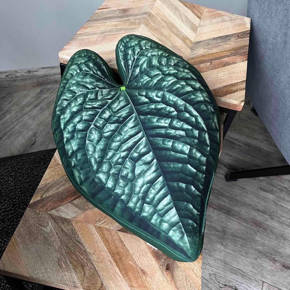 anthurium pillow Anthurium Luxurians plant pillow / Luxurians cushion / plant pillow