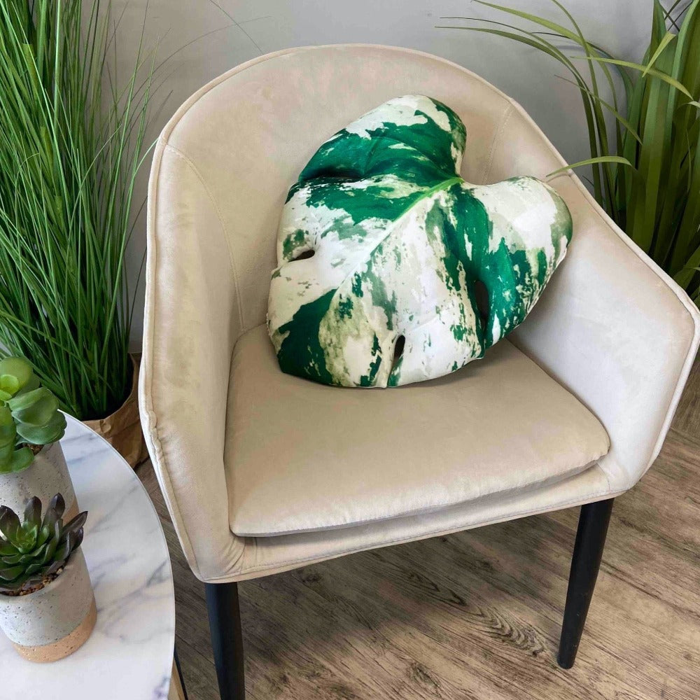 Variegated albo Monstera pillow