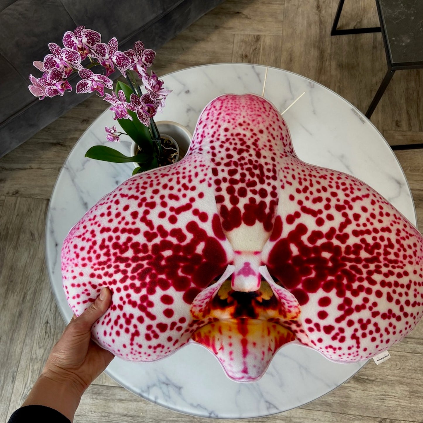 big Orchid pillow / Orchidee / flower pillow / Phalaenopsis