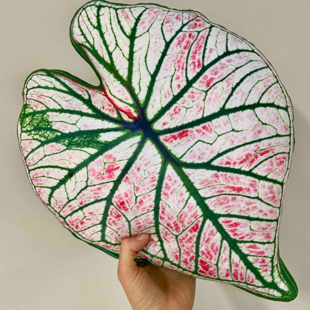 caladium leaf pillow gift