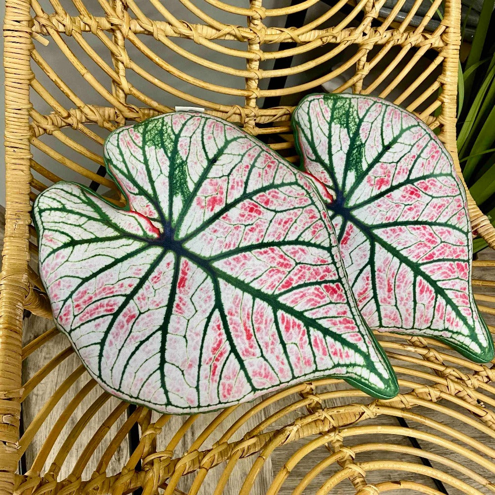caladiums pillows