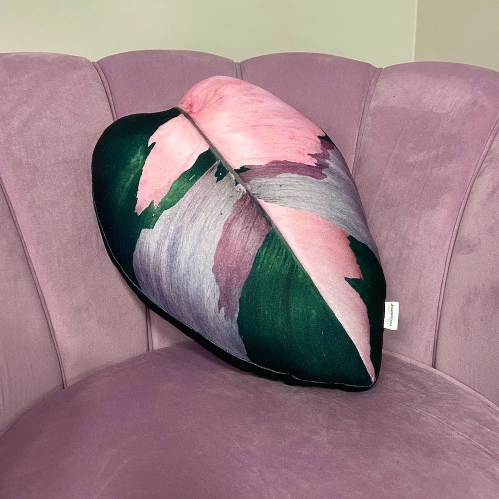 philodendron cushion