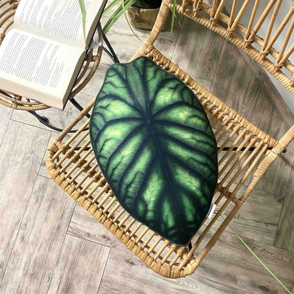 Alocasia Dragon Scale pillow