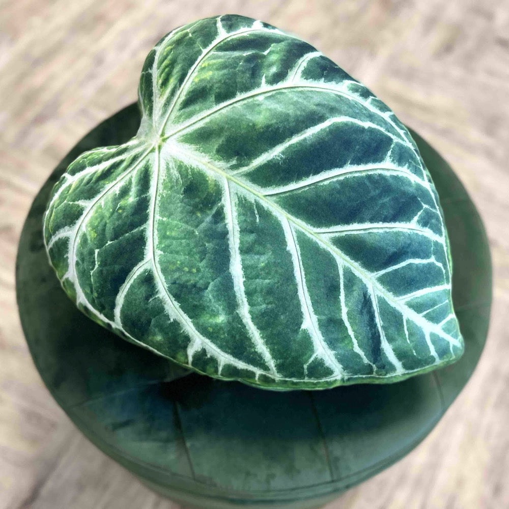anthurium clarinervium leaf pillow Anthurium pillow / Anthurium cushion / plant lover gift / urban jungle