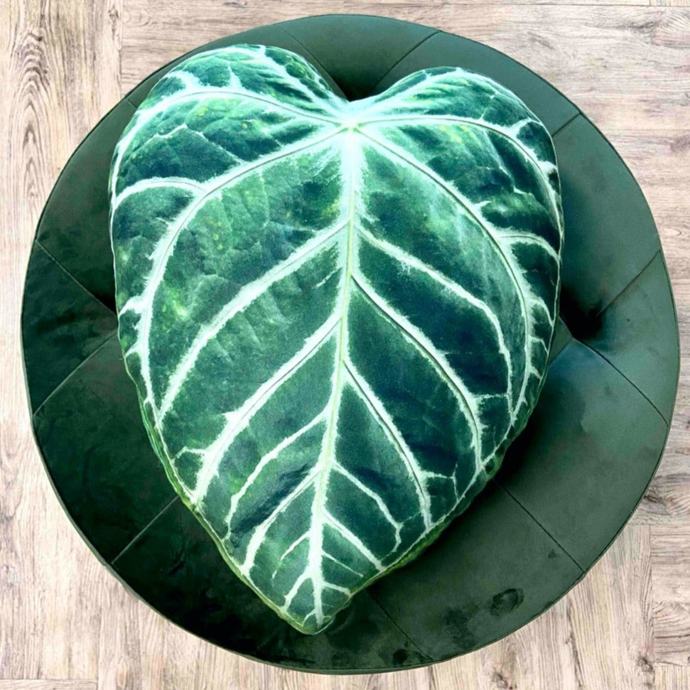 anthurium clarinervium leaf pillow Anthurium pillow / Anthurium cushion / plant lover gift / urban jungle