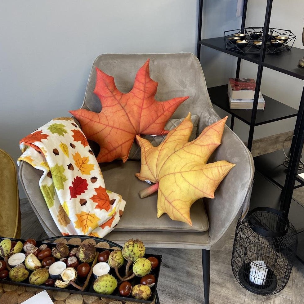 Fall cozy blanket and pillows