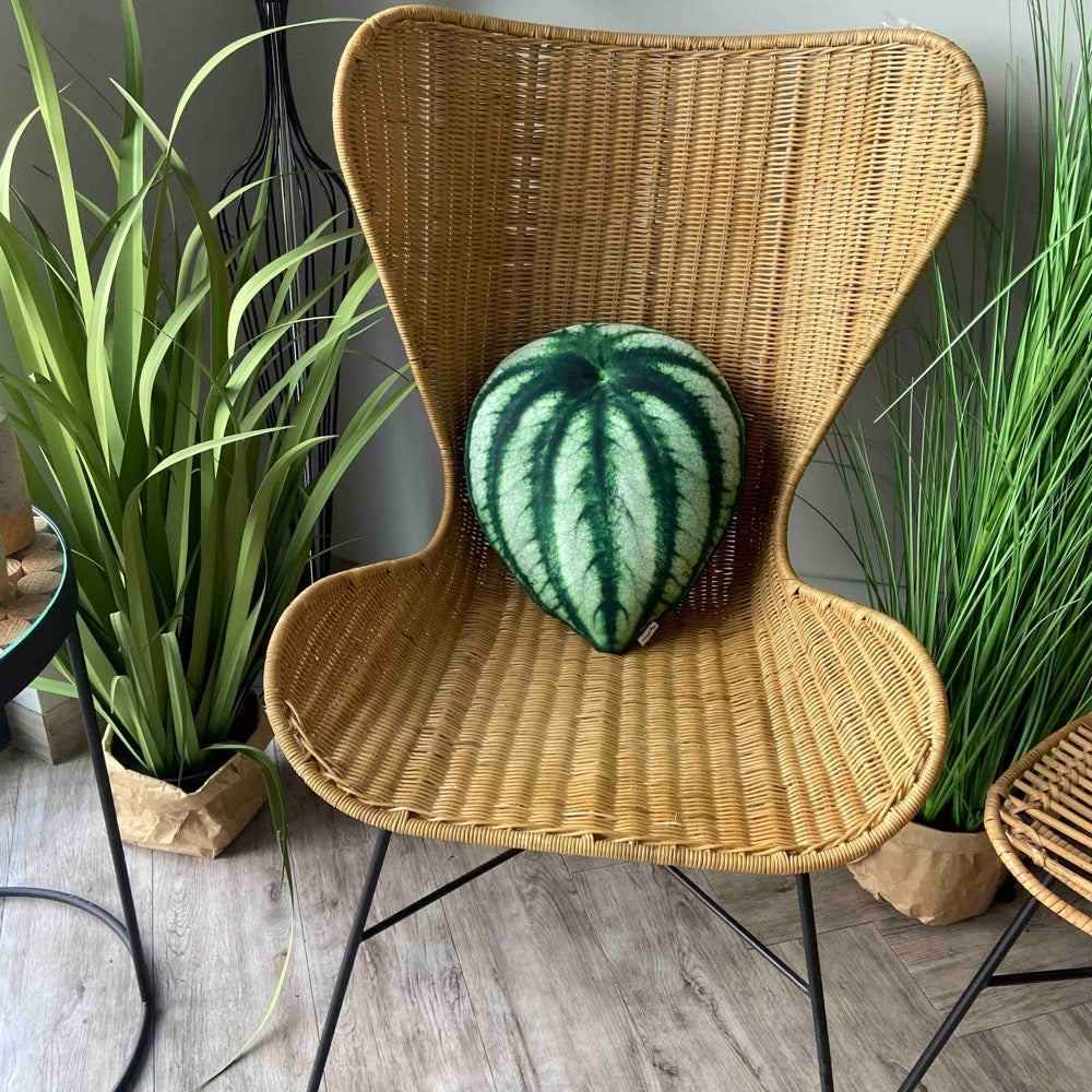 Peperomia watermelon plant pillow
