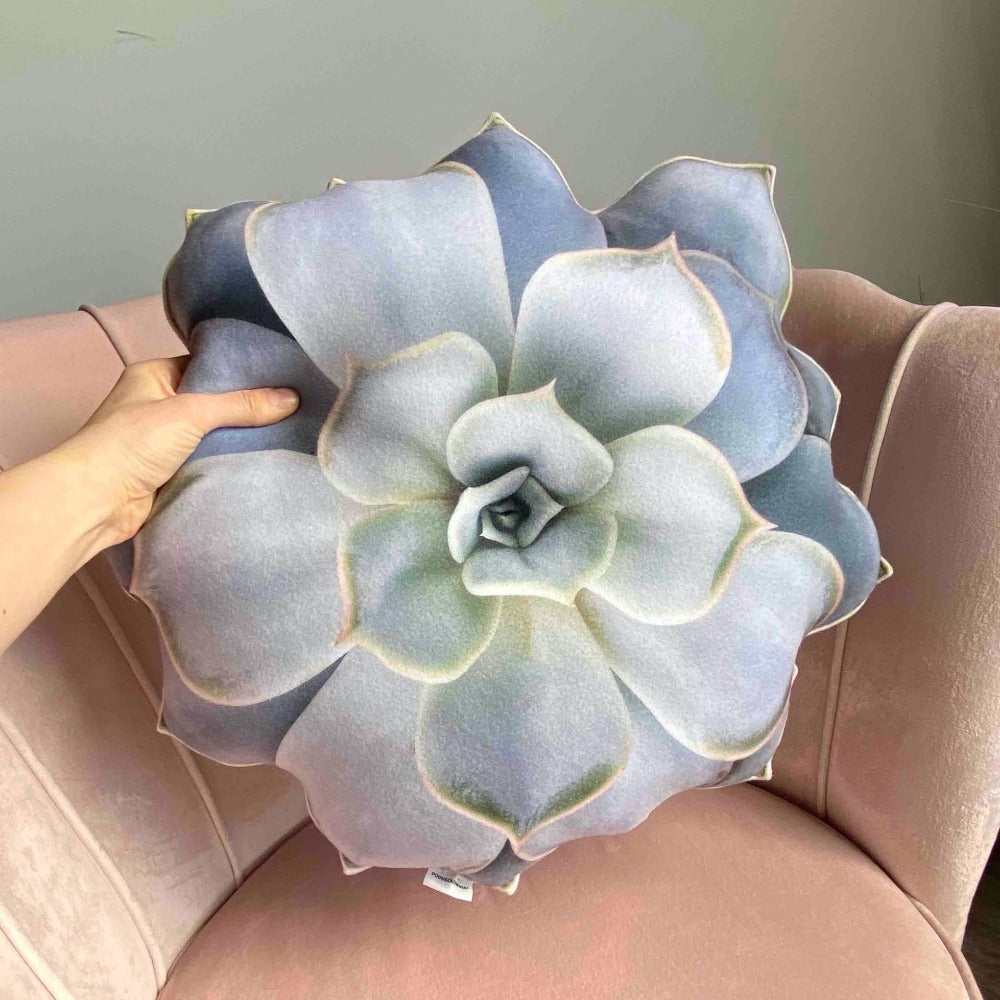 Succulent plant pillow