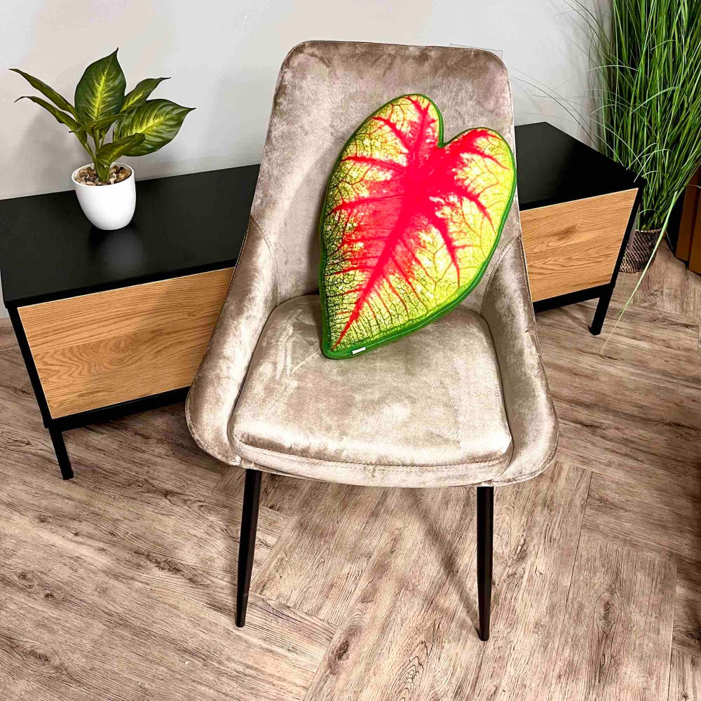 Caladium pillow