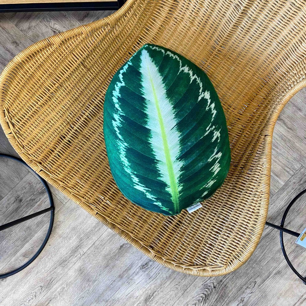 calathea leaf cushion