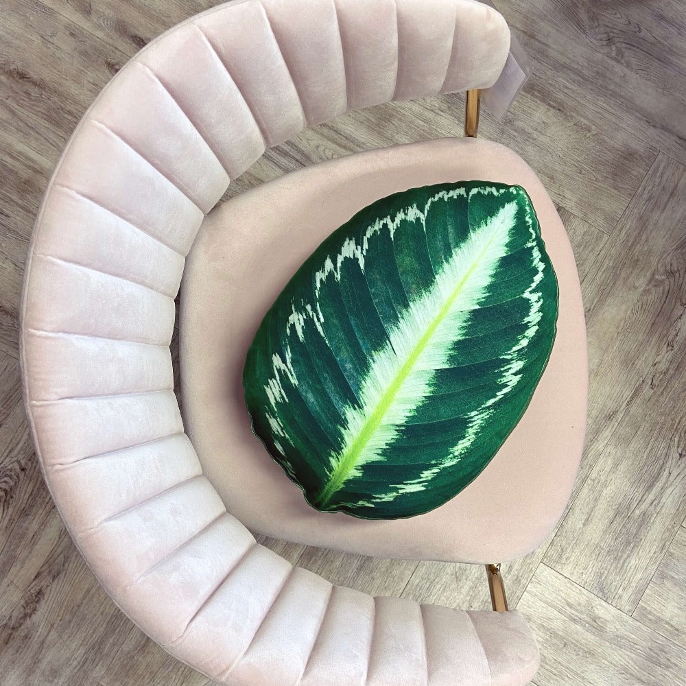calathea pillow