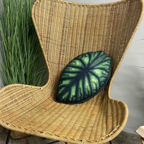Alocasia dragon scale pillow