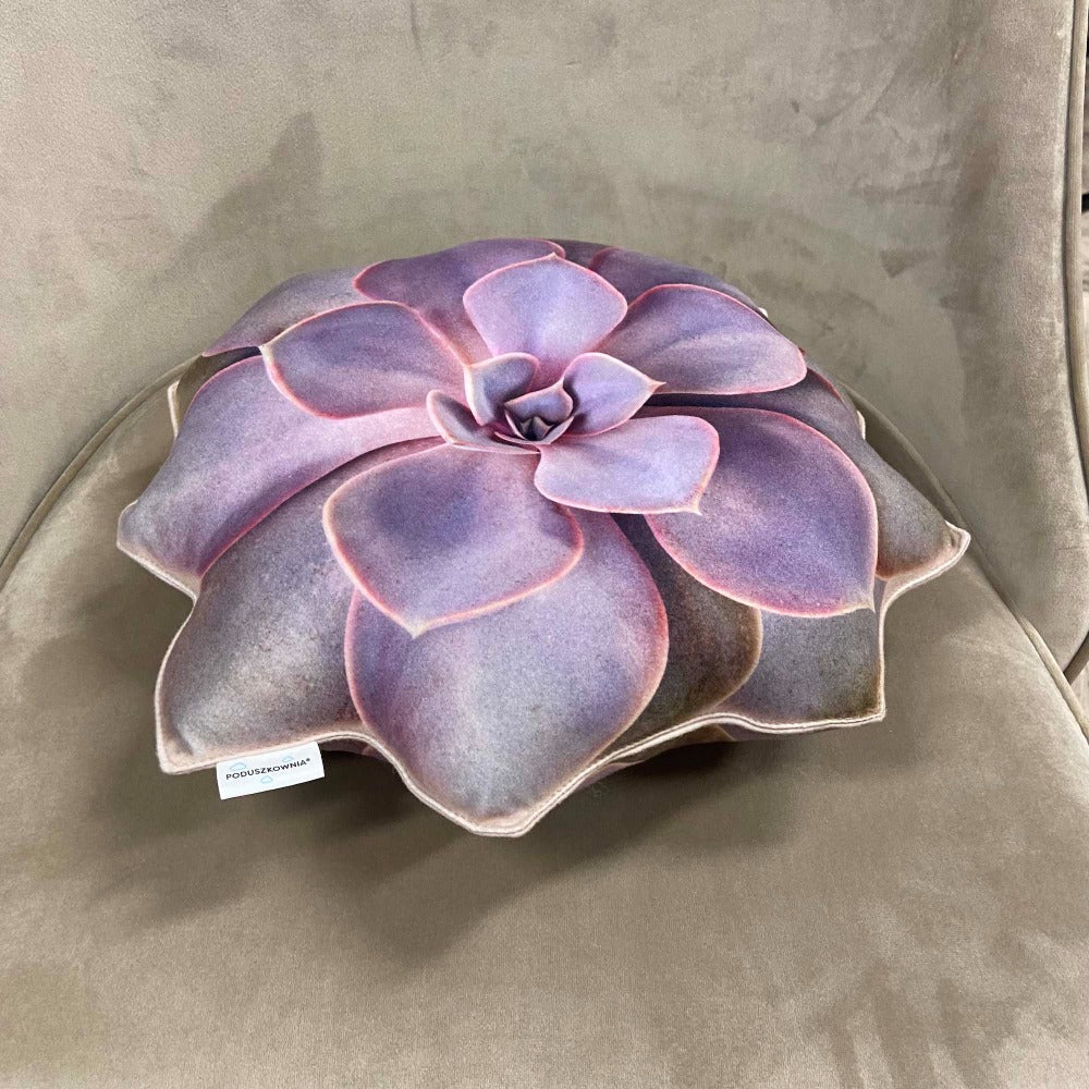 succulent echeveria pillow