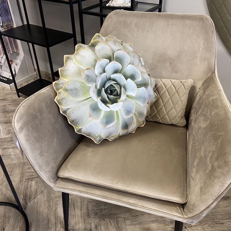echeveria pillow