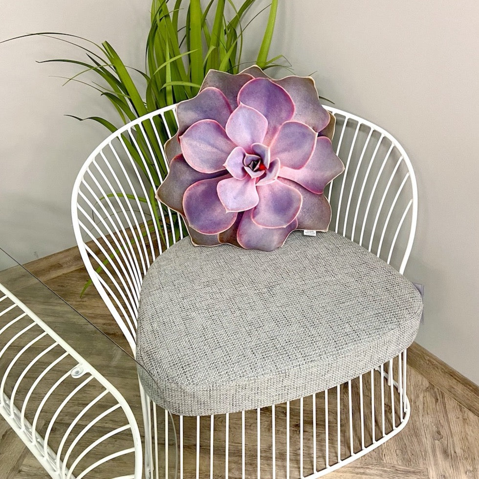 Echeveria pvn pillow