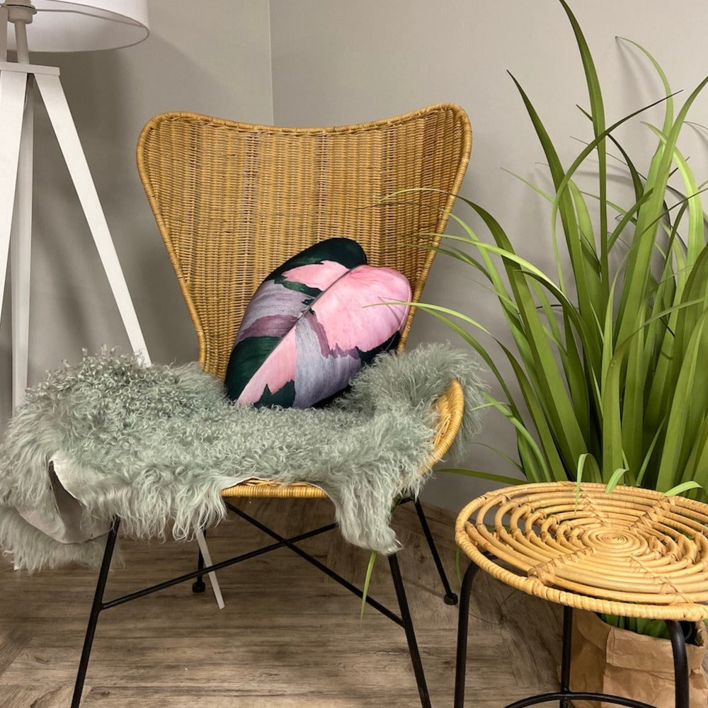 philodendron pink princess pillow