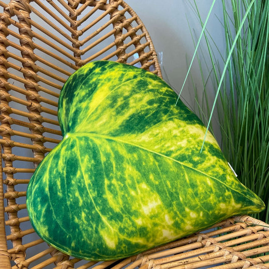 pothos leaf pillow
