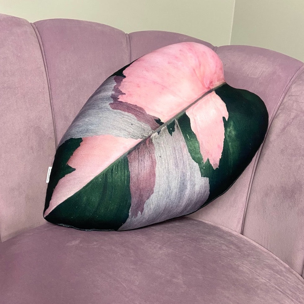 est philodendron pillow Philodendron Pink Princess / PPP plant / Pink leaf / plant pillow