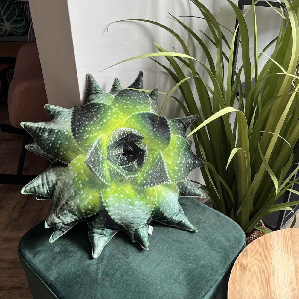 aloe succulent cushion