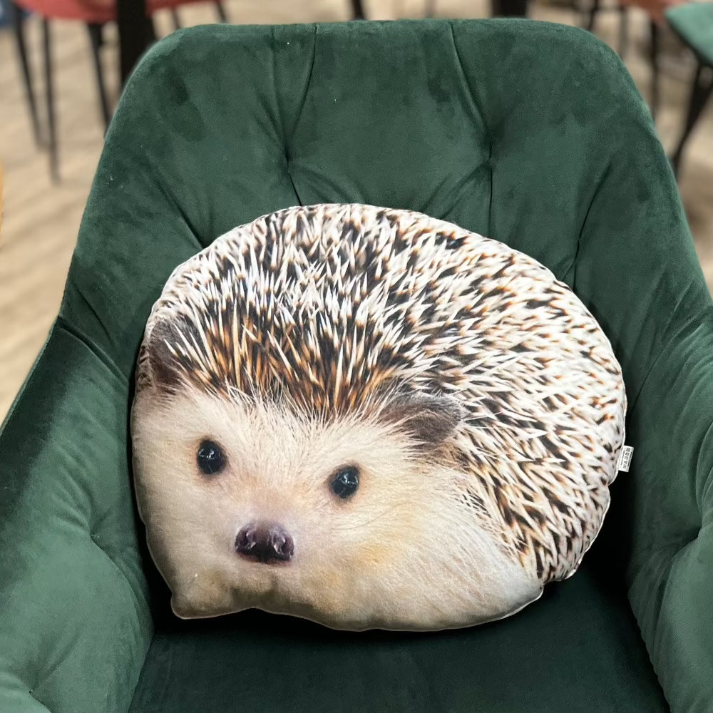 hedgehog pillow cute