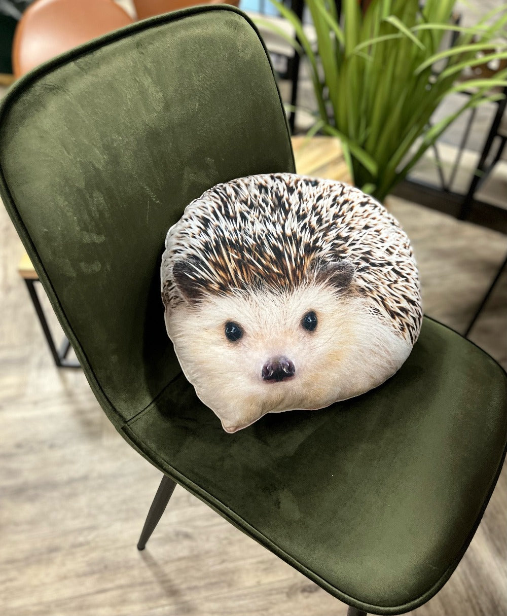 hedgehog pillow