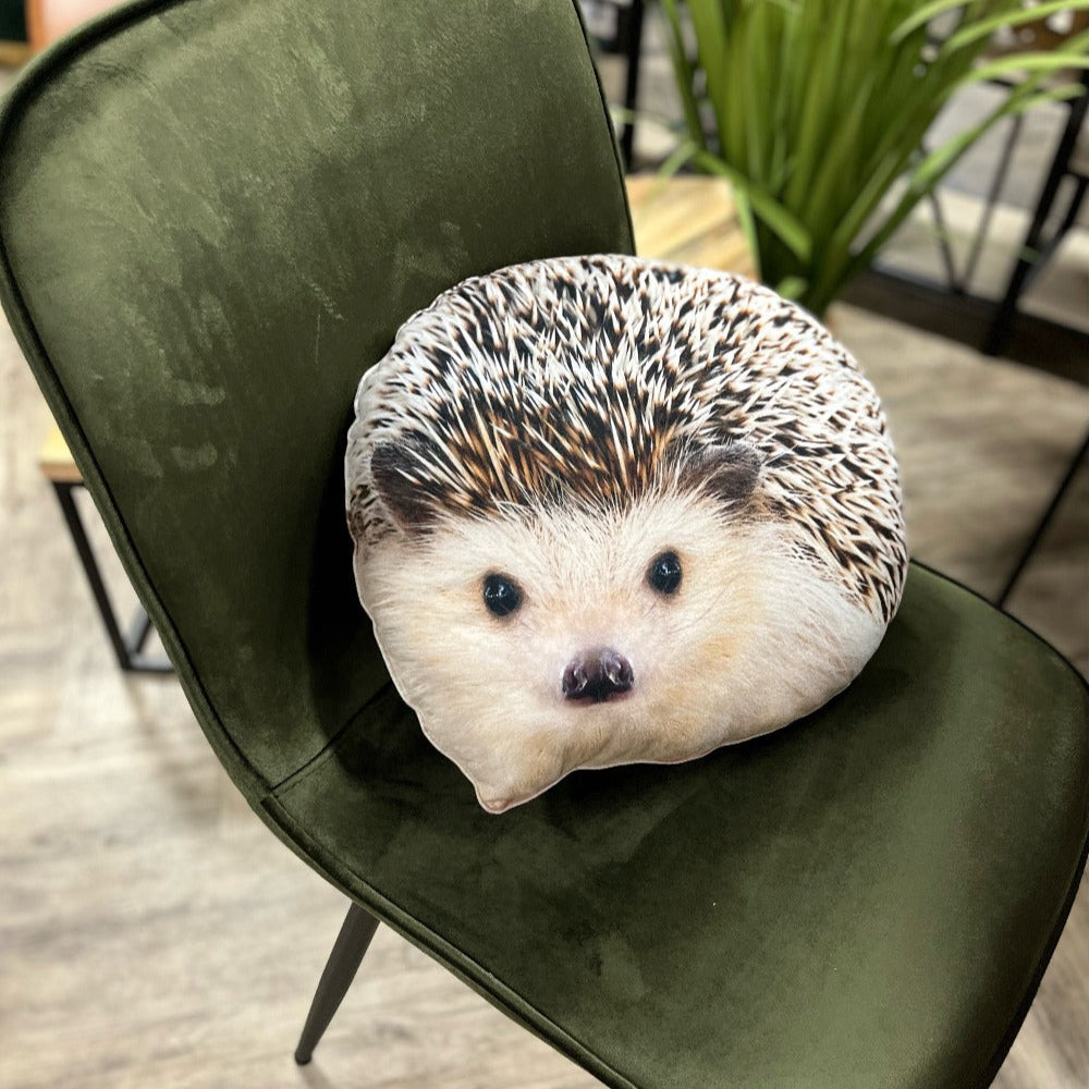 hedgehog pillow