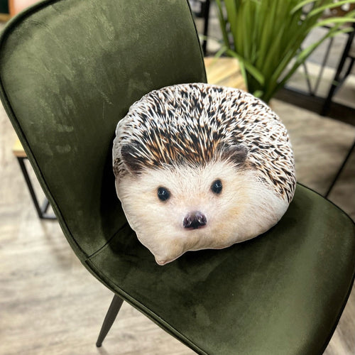 hedgehog pillow