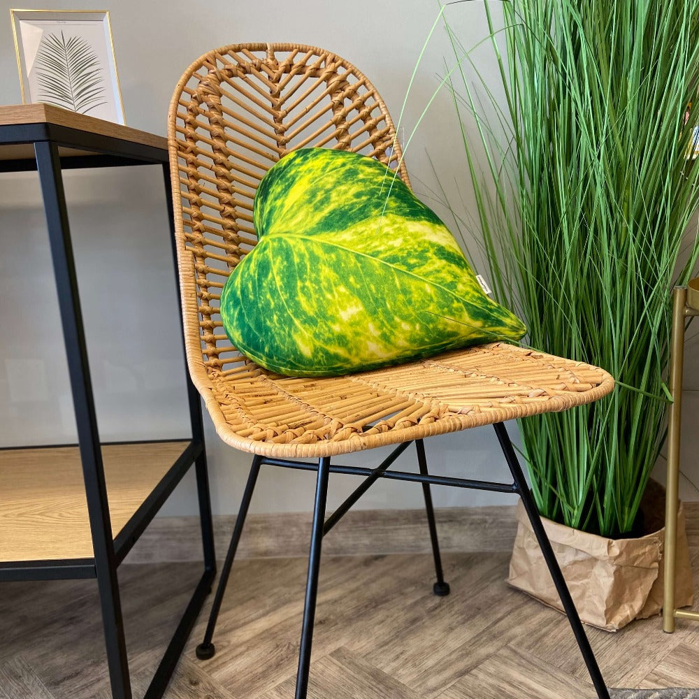 golden pothos pillow