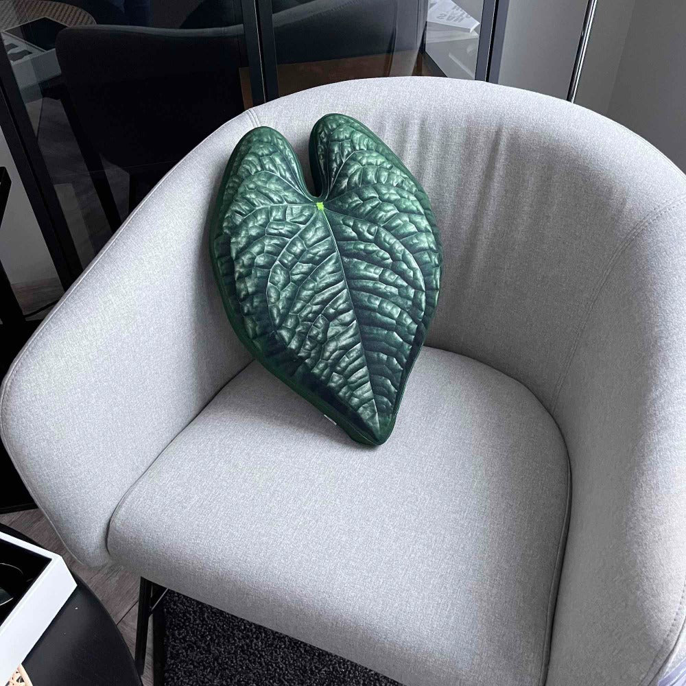 anthurium luxurians silver Anthurium Luxurians plant pillow / Luxurians cushion / plant pillow