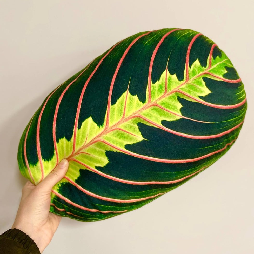 maranta leaf pillow