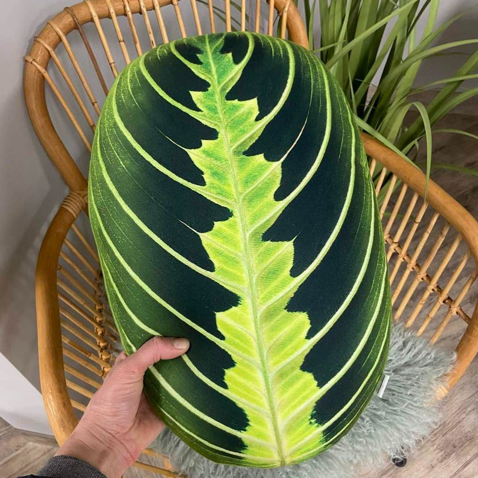 maranta lemon lime plant pillow