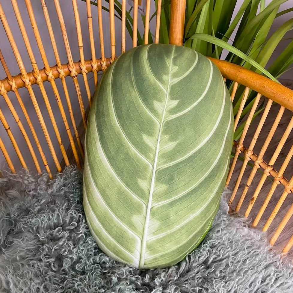 maranta down side plant pillow