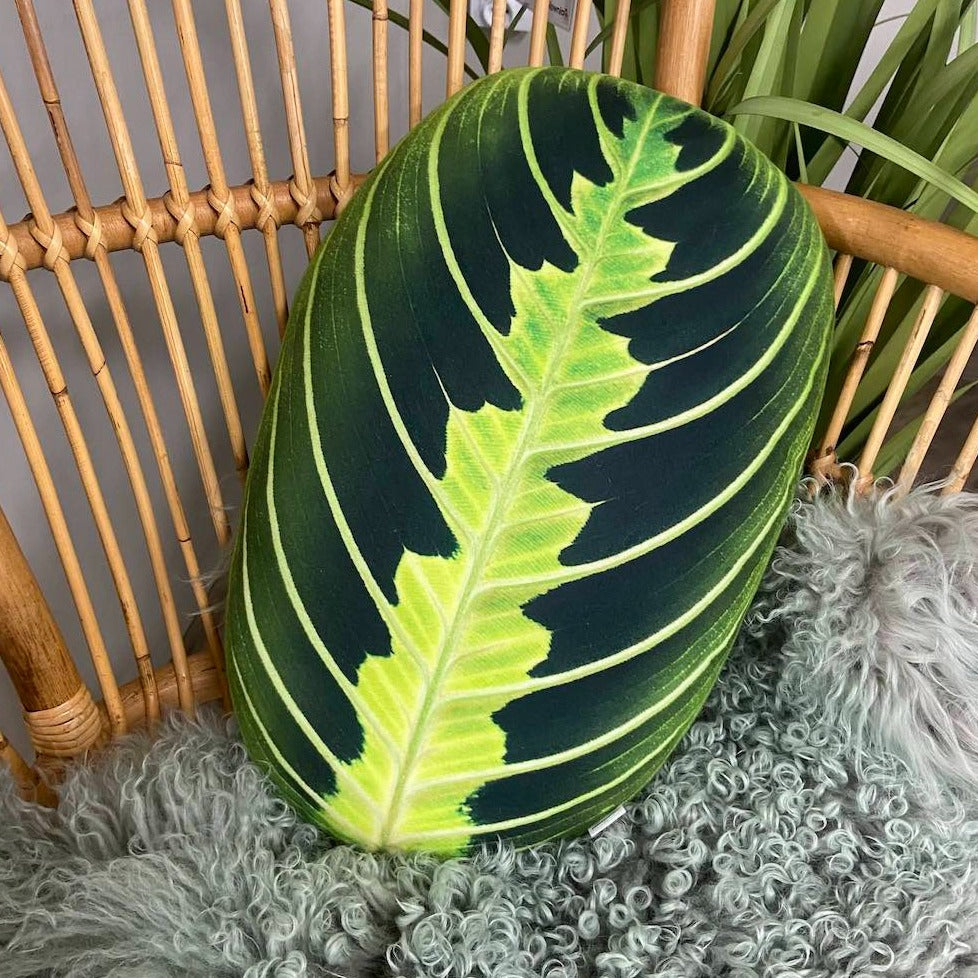maranta lemon lime cushion