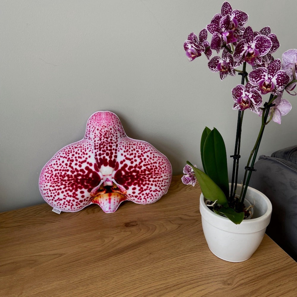 orchid pillow