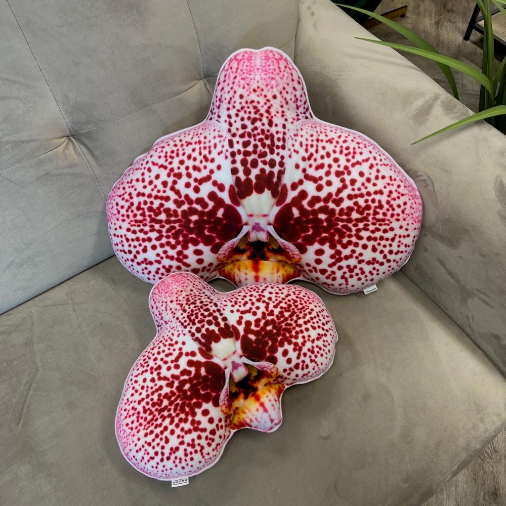 set orchid pillows