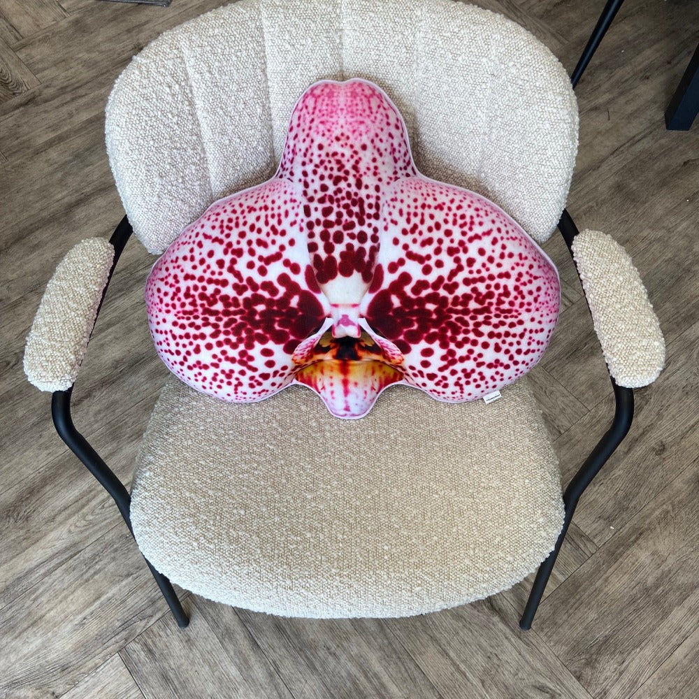 phalaenopsis pillow