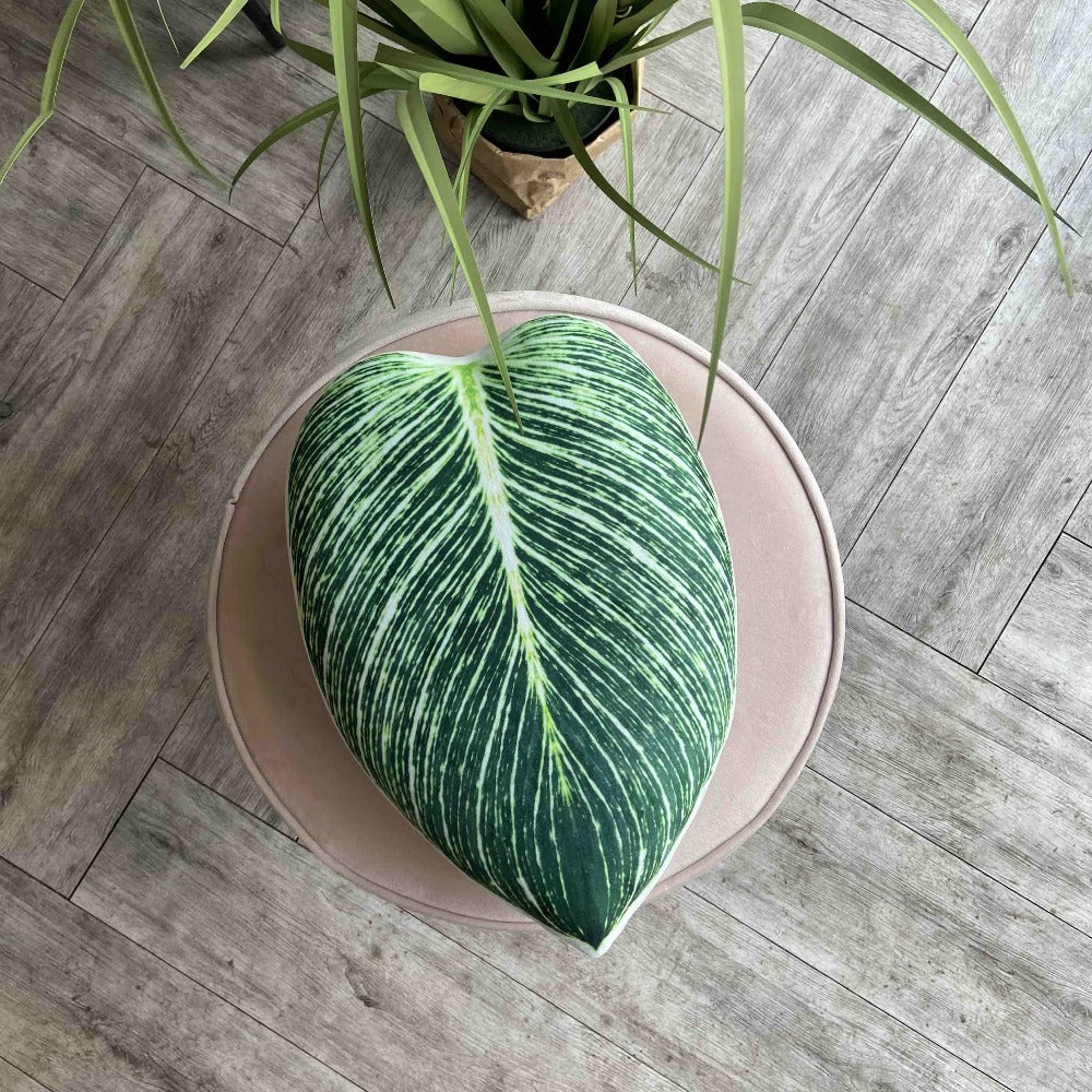 leaf pillow philodendron