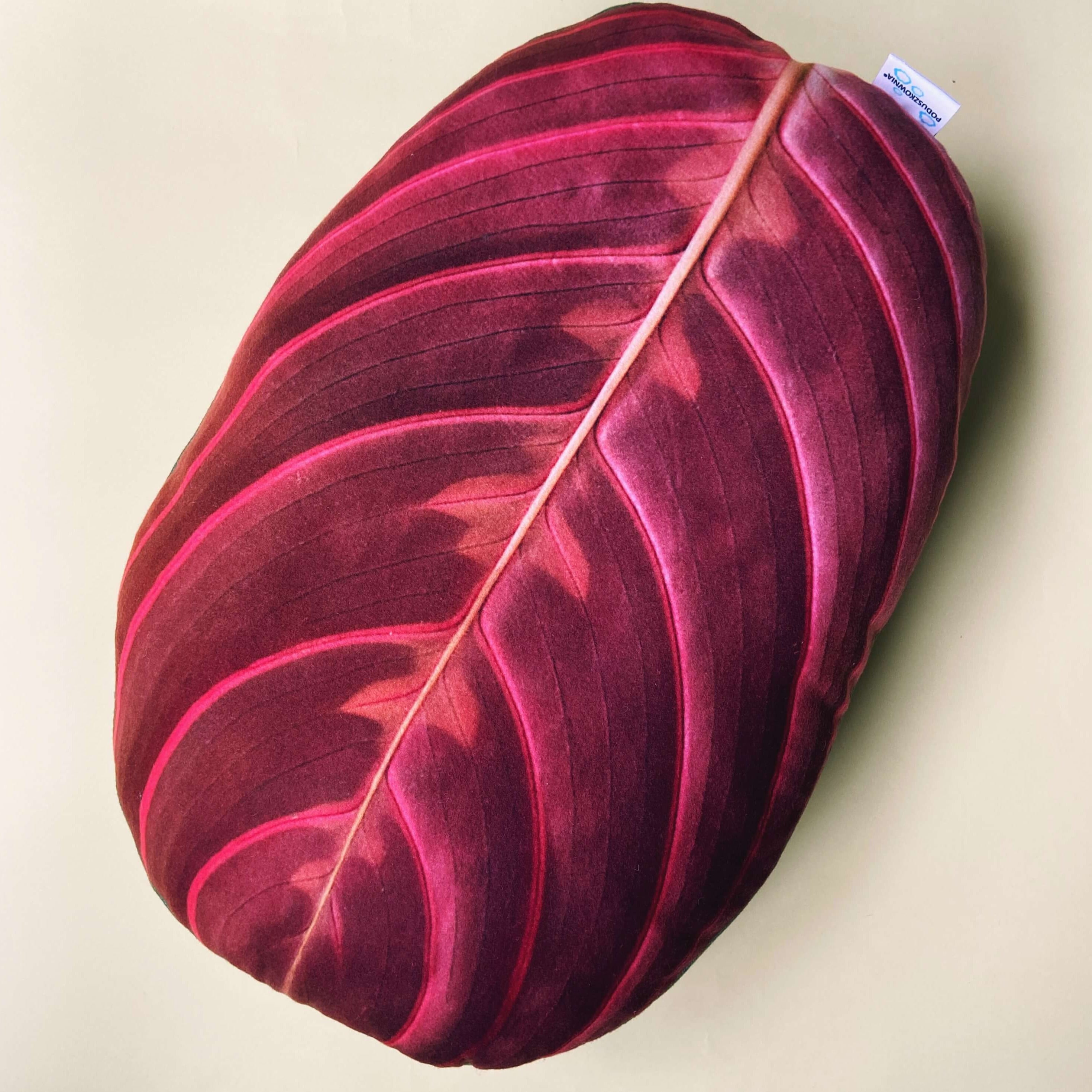 maranta pillow