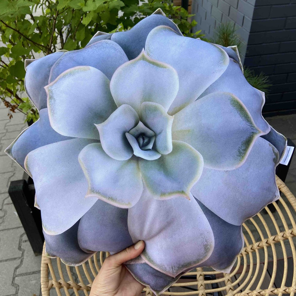 garden succulent cushion