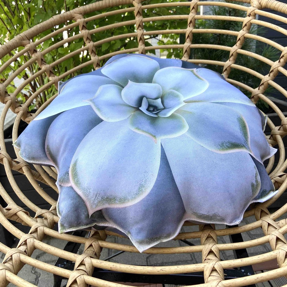 Outdoor succulent pillow