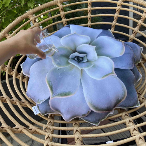  Garden succulent pillow