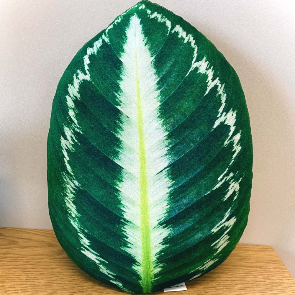 calathea pillow