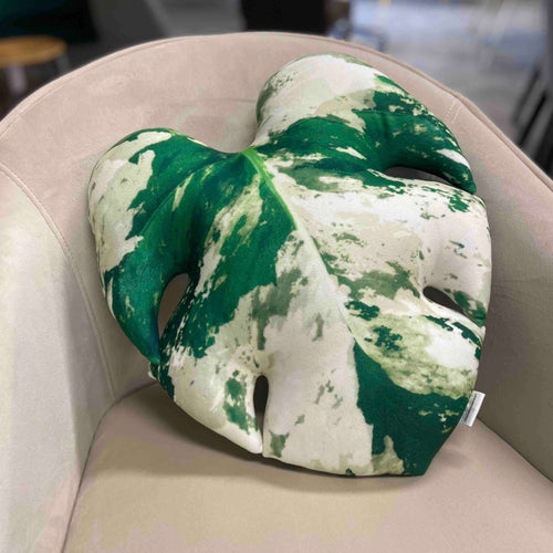 Monstera variegata pillow