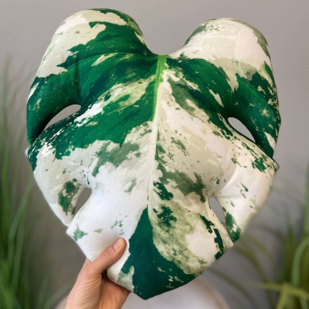 Variegated Monstera pillow